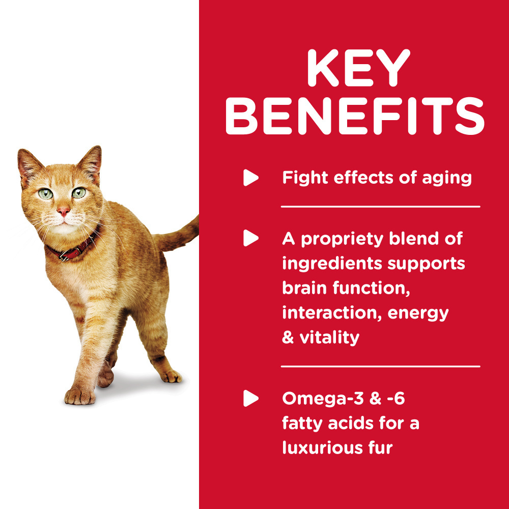 
                  
                    Hill's Science Diet Senior Vitality Adult 7+ Chicken & Vegetable Stew Canned Cat Food
                  
                