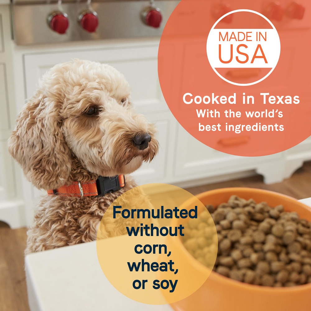 
                  
                    All Life Stages Large Breed Formula with Turkey Meal & Brown Rice Dry Dog Food
                  
                