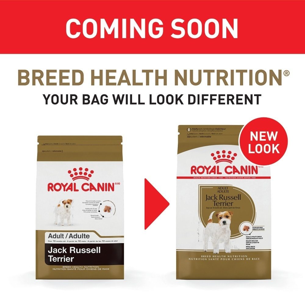 
                  
                    Royal Canin Breed Health Nutrition Adult Jack Russell Terrier Dry Dog Food
                  
                