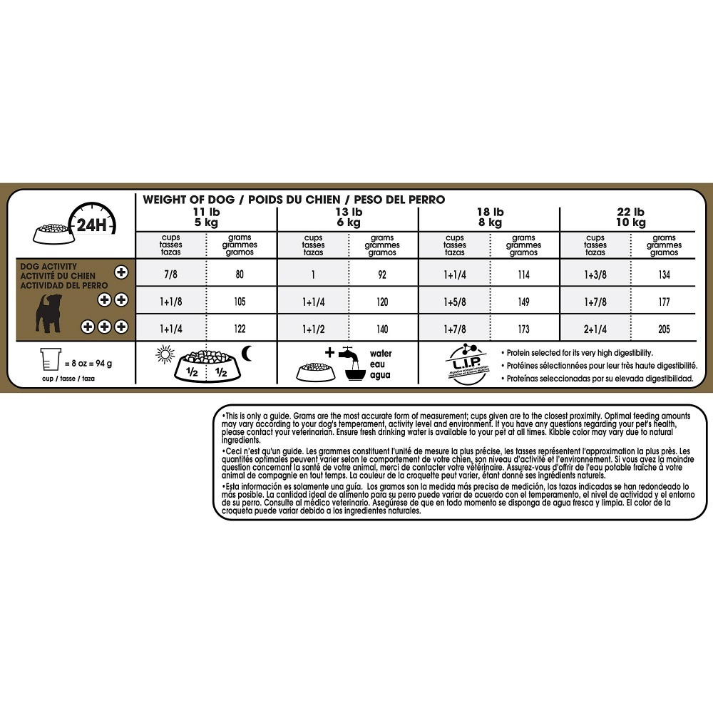 
                  
                    Royal Canin Breed Health Nutrition Adult Jack Russell Terrier Dry Dog Food
                  
                