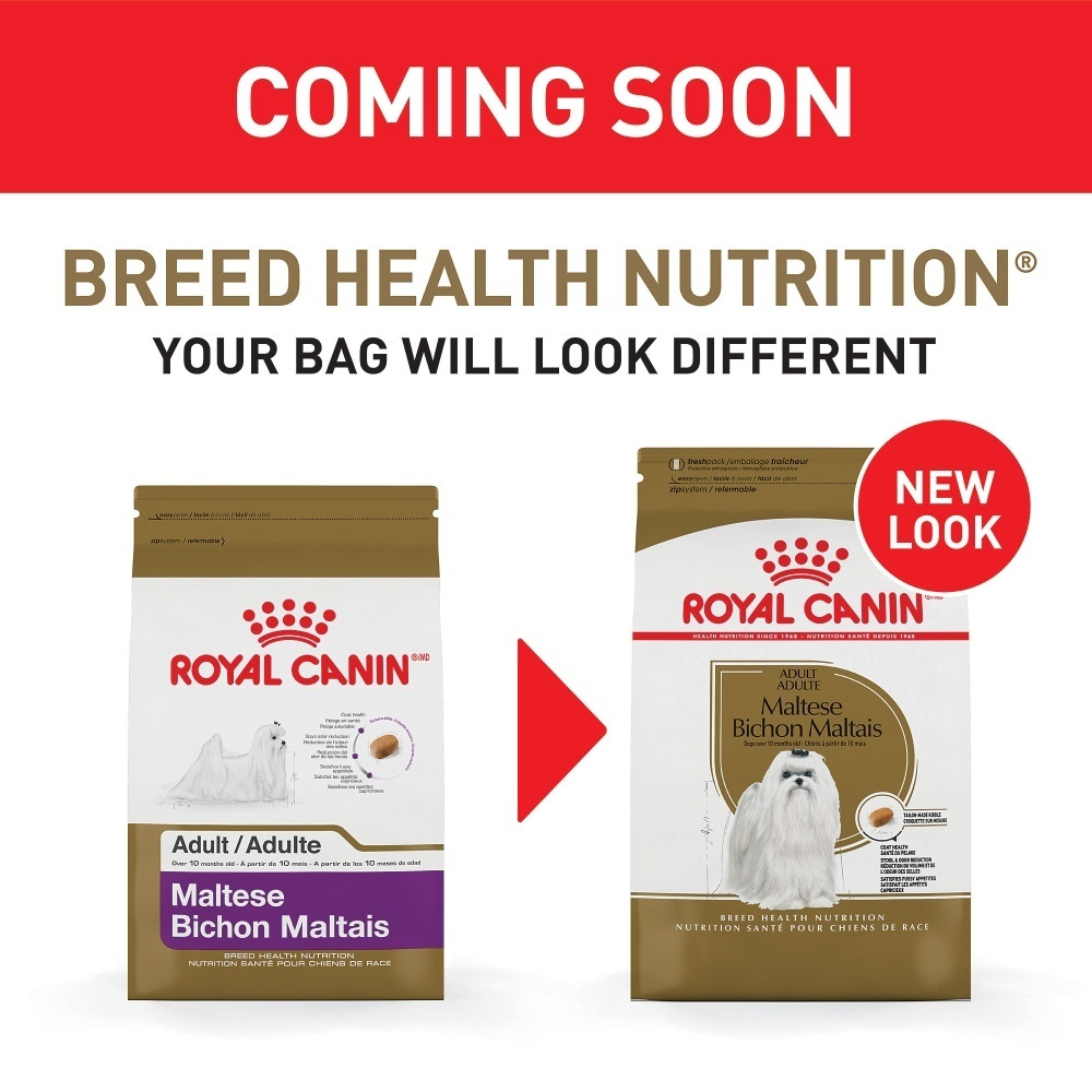 
                  
                    Royal Canin Breed Health Nutrition Adult Maltese Dry Dog Food
                  
                