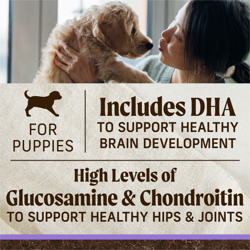 
                  
                    Merrick Dry Puppy Food Real Beef & Sweet Potato Grain Free Dog Food Recipe
                  
                