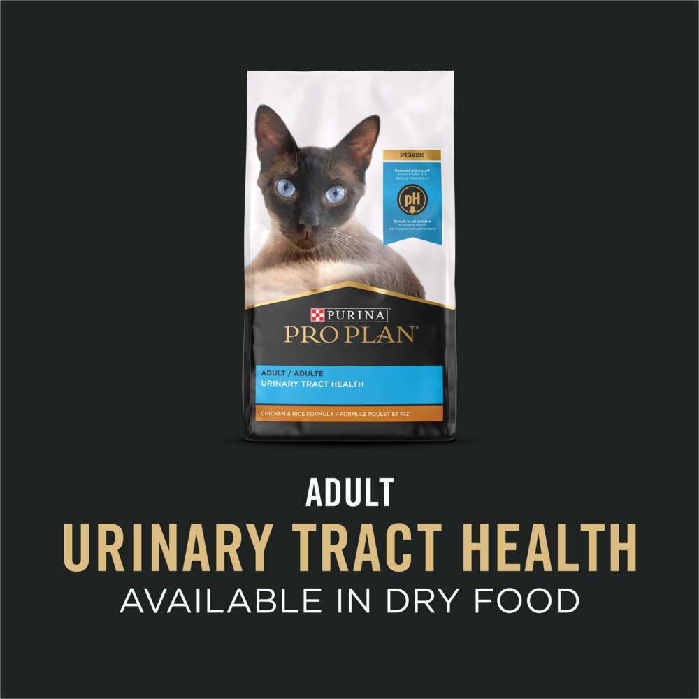 
                  
                    Purina Pro Plan Urinary Tract Health Salmon Recipe Canned Cat Food
                  
                