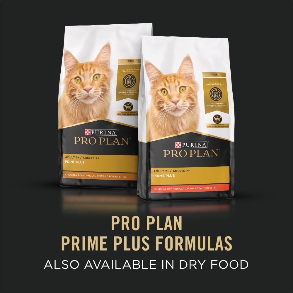 
                  
                    Purina Pro Plan Prime Plus 7+ Salmon & Tuna Entree Classic Canned Cat Food
                  
                