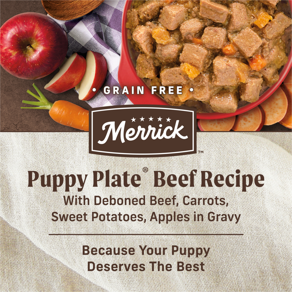 
                  
                    Merrick Grain Free Puppy Plate Beef Recipe Canned Puppy Food
                  
                
