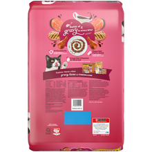 Load image into Gallery viewer, Friskies Gravy Swirlers Chicken &amp; Salmon Flavor Dry Cat Food