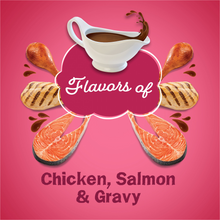 Load image into Gallery viewer, Friskies Gravy Swirlers Chicken &amp; Salmon Flavor Dry Cat Food