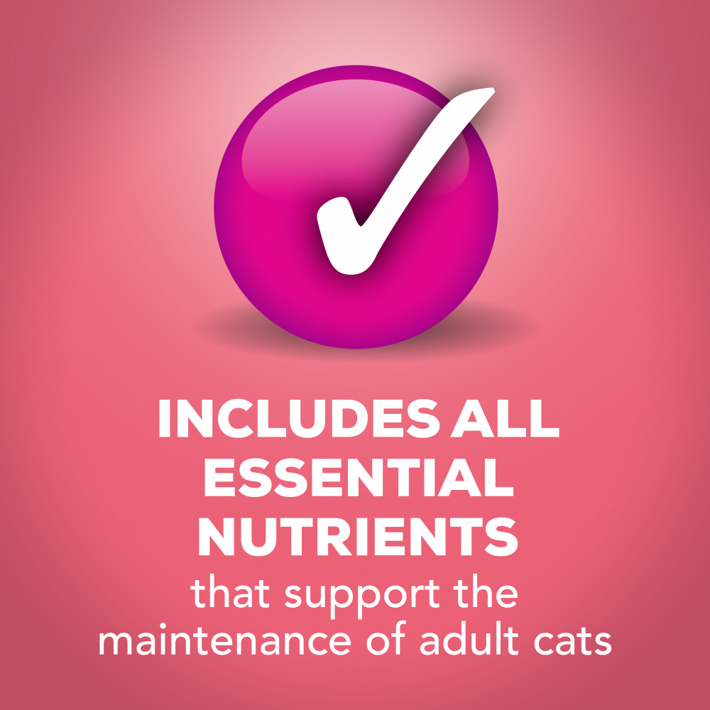 
                  
                    Friskies Extra Gravy Chunky with Salmon in Savory Gravy Canned Cat Food
                  
                