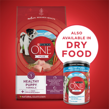 Load image into Gallery viewer, Purina ONE SmartBlend Classic Healthy Puppy Ground Lamb &amp; Long Grain Rice Canned Dog Food