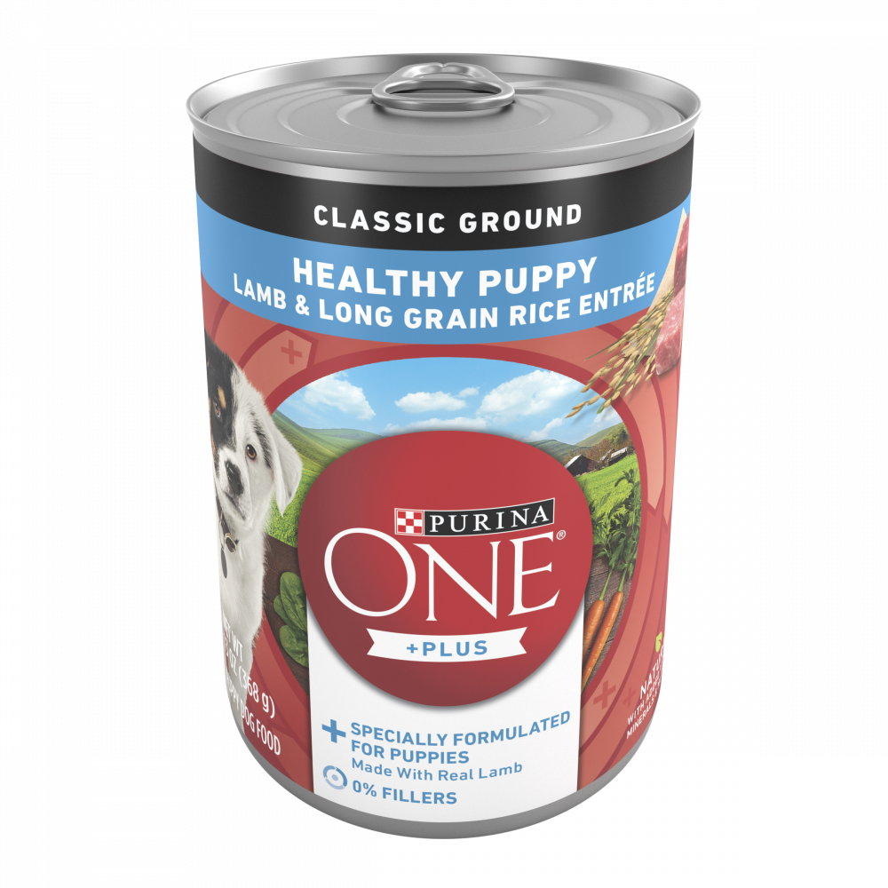 
                  
                    Purina ONE SmartBlend Classic Healthy Puppy Ground Lamb & Long Grain Rice Canned Dog Food
                  
                