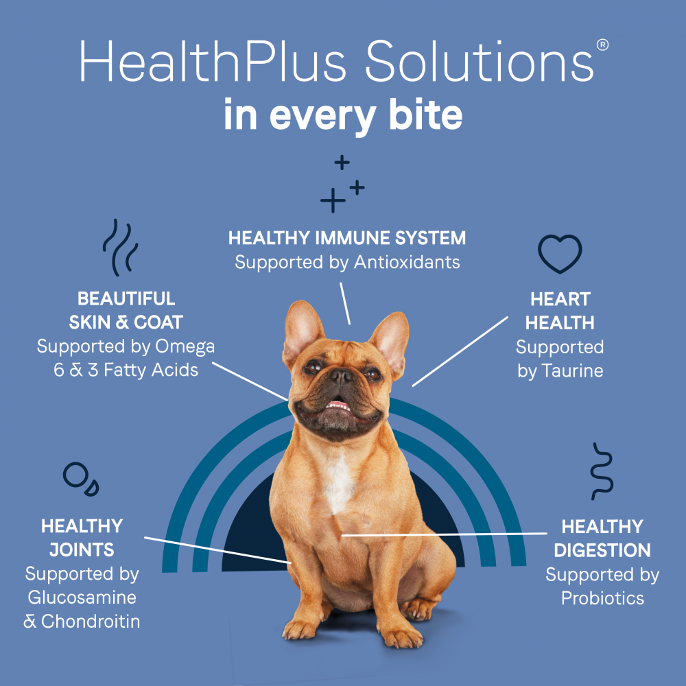 
                  
                    Canidae Pure Petite Freeze-Dried Raw Coated Dog Food for Small Breeds, Real Salmon
                  
                