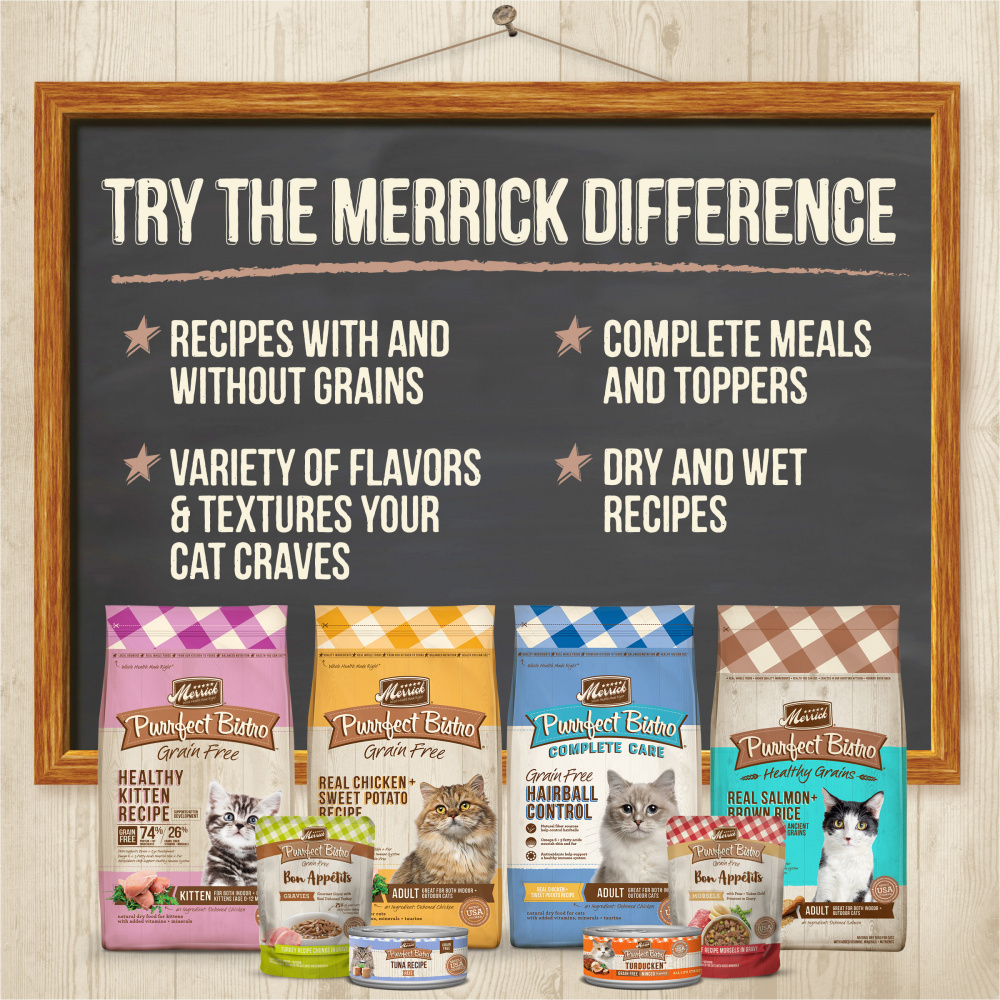 
                  
                    Merrick Purrfect Bistro Grain Free Seafood Pate Variety Pack Canned Cat Food
                  
                