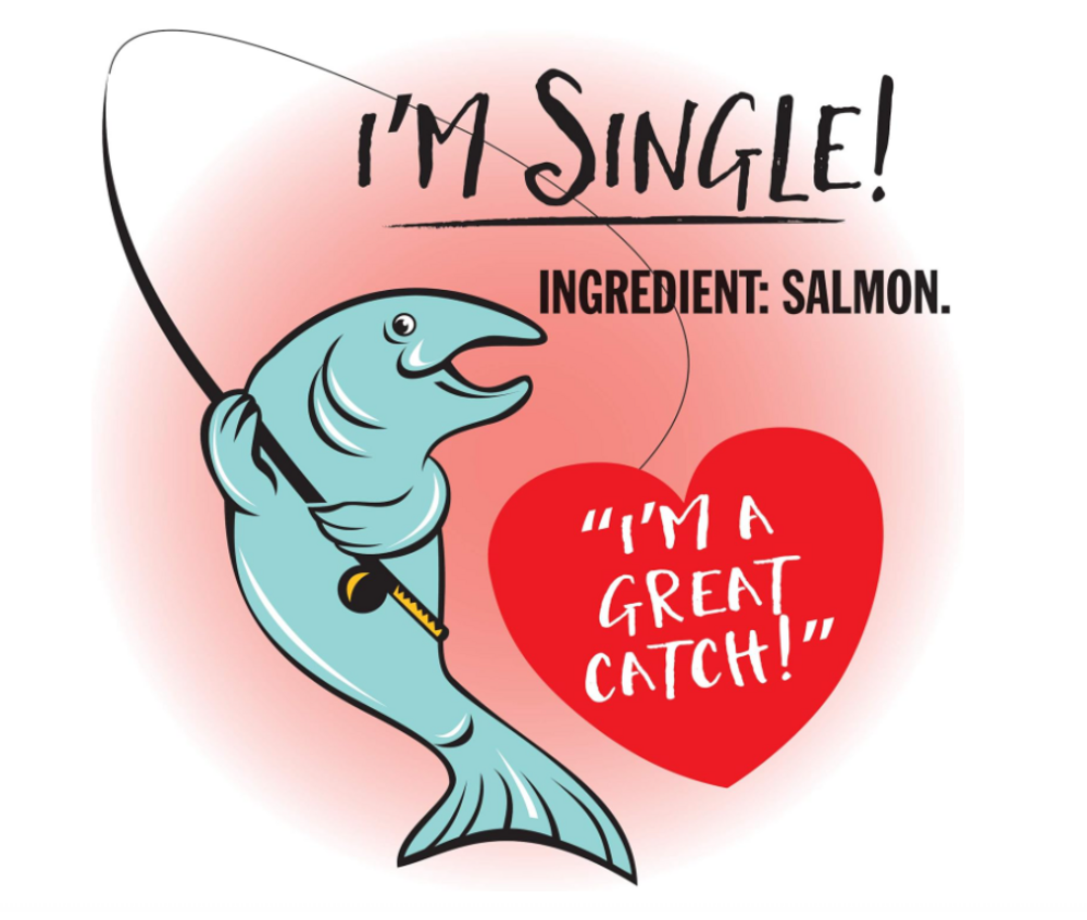 Against the Grain Nothing Else Grain Free One Ingredient 100% Salmon Canned Dog Food