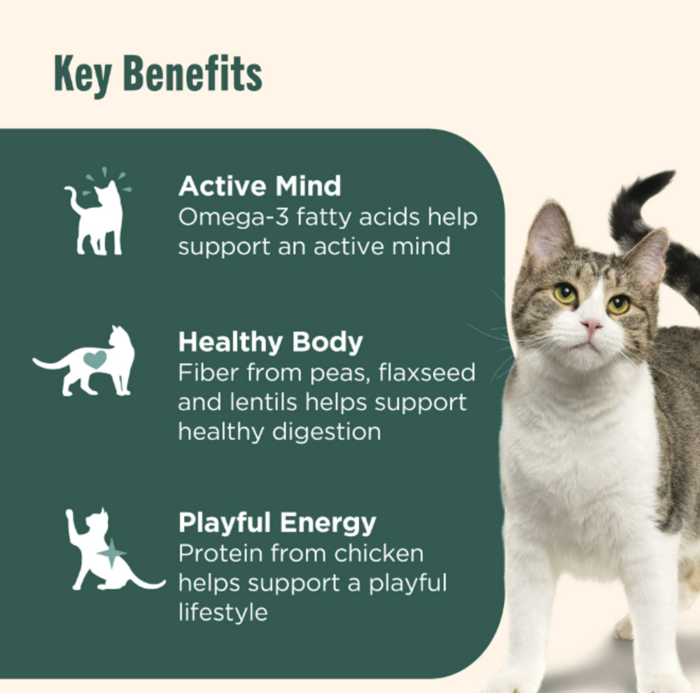 
                  
                    Rachael Ray Nutrish Indoor Complete Chicken & Salmon with Lentils Recipe Dry Cat Food
                  
                