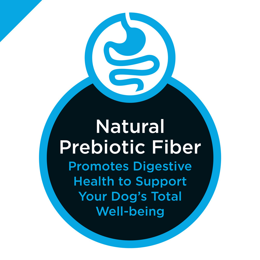 
                  
                    Purina Pro Plan Chicken & Rice Formula Adult Small & Toy Breed Dry Dog Food
                  
                