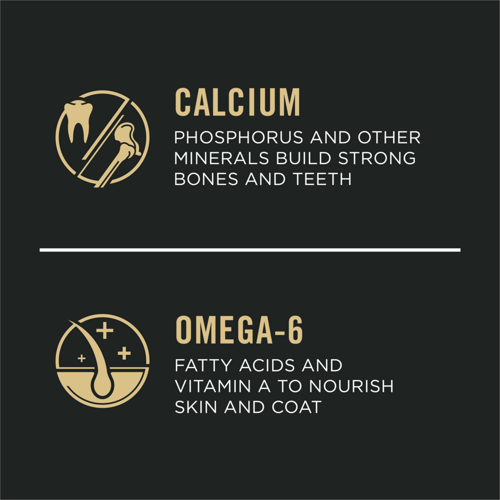 
                  
                    Purina Pro Plan Chicken & Rice Formula Puppy Small Breed Dry Dog Food
                  
                