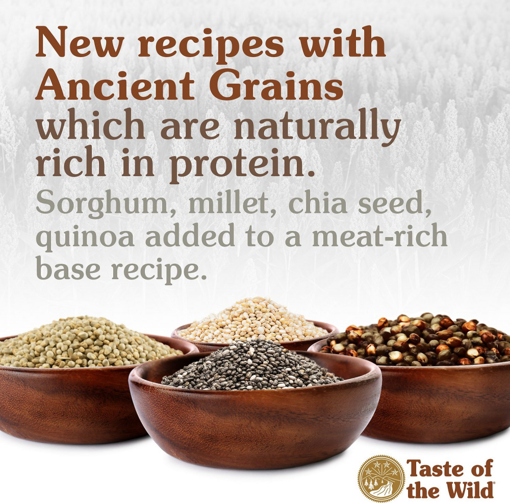 
                  
                    Taste of the Wild Ancient Prairie with Ancient Grains Dry Dog Food
                  
                