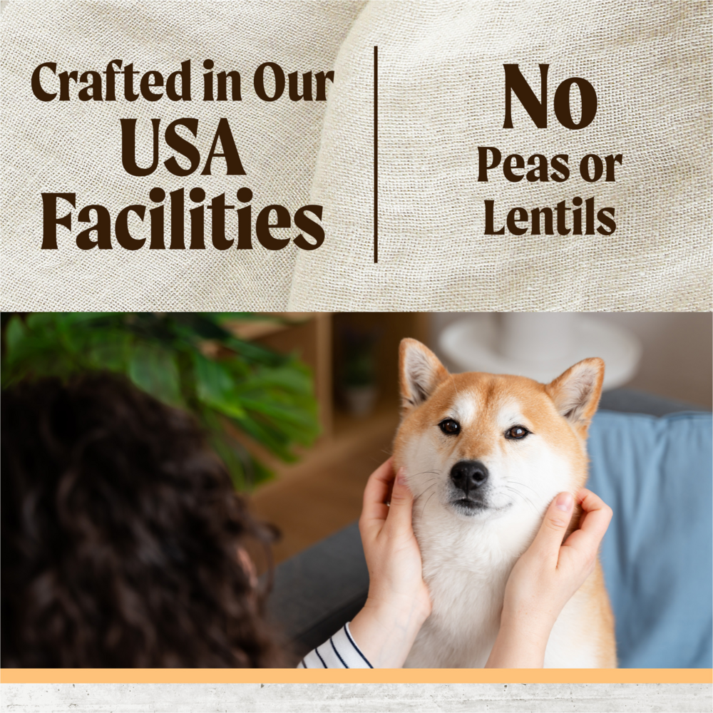 
                  
                    Merrick Limited Ingredient Diet Dry Dog Food Real Chicken & Brown Rice Recipe with Healthy Grains
                  
                