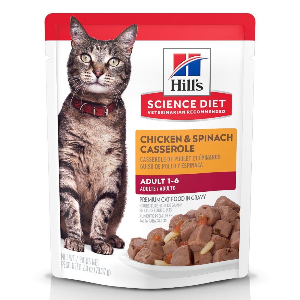 
                  
                    Hill's Science Diet Chicken & Spinach Casserole Adult Wet Cat Food
                  
                