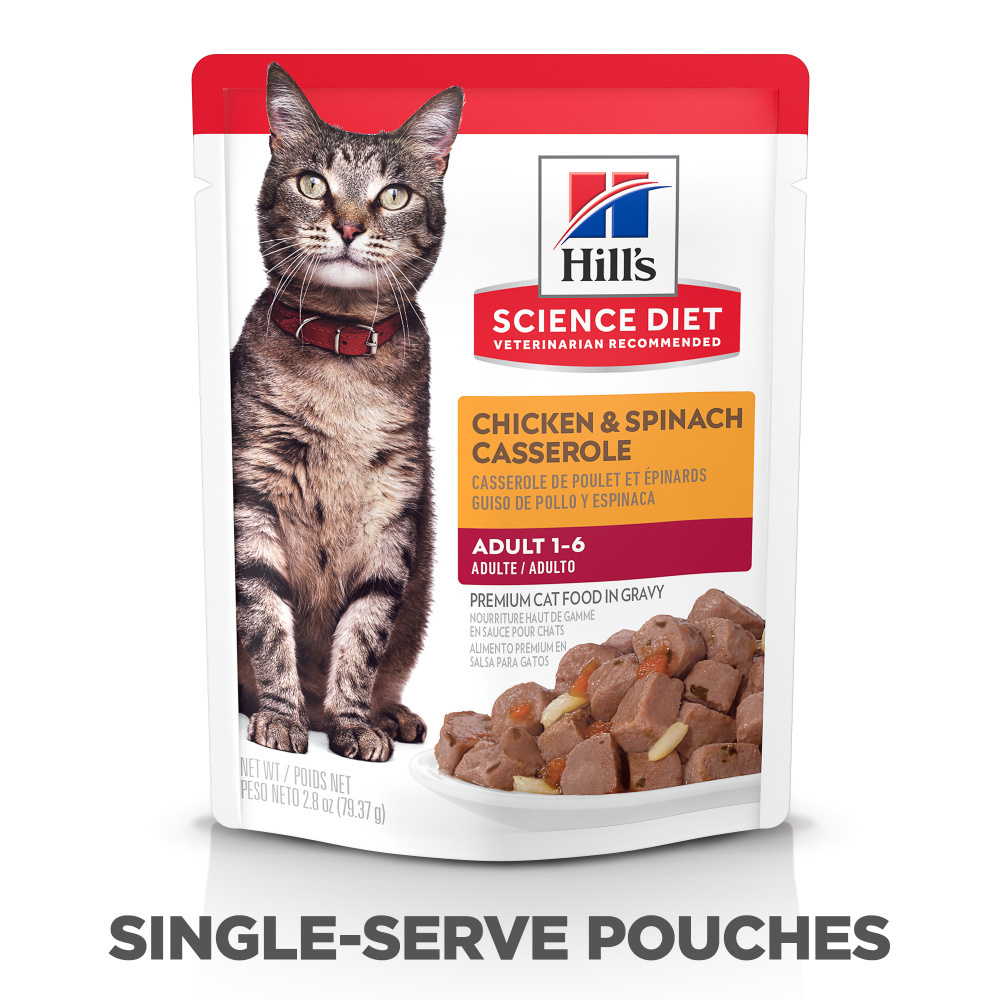 Hill's Science Diet Chicken & Spinach Casserole Adult Wet Cat Food