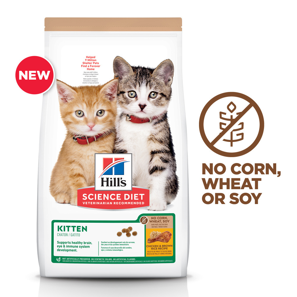 
                  
                    Hill's Science Diet Kitten No Corn, Wheat, or Soy Chicken & Brown Rice Recipe Dry Cat Food
                  
                