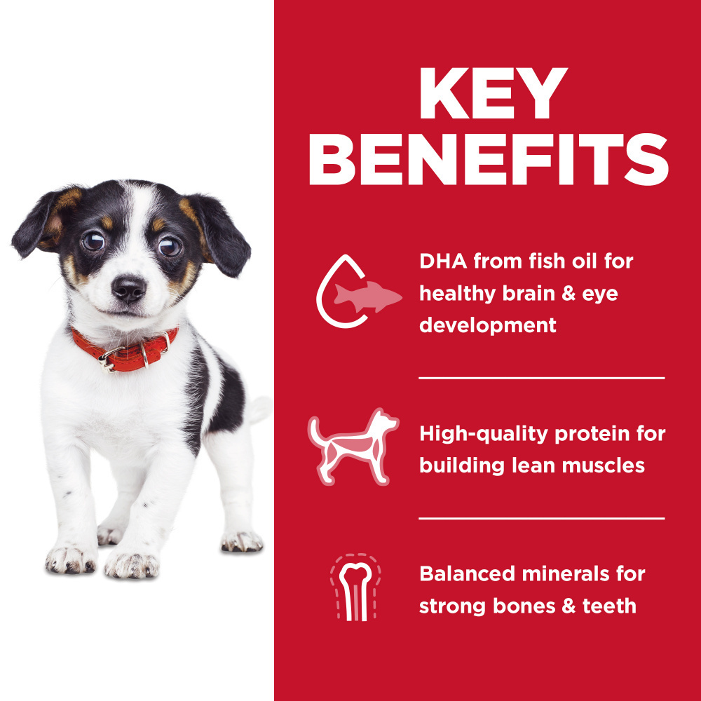 
                  
                    Hill's Science Diet Puppy No Corn, Wheat, or Soy Chicken & Brown Rice Recipe Dry Dog Food
                  
                