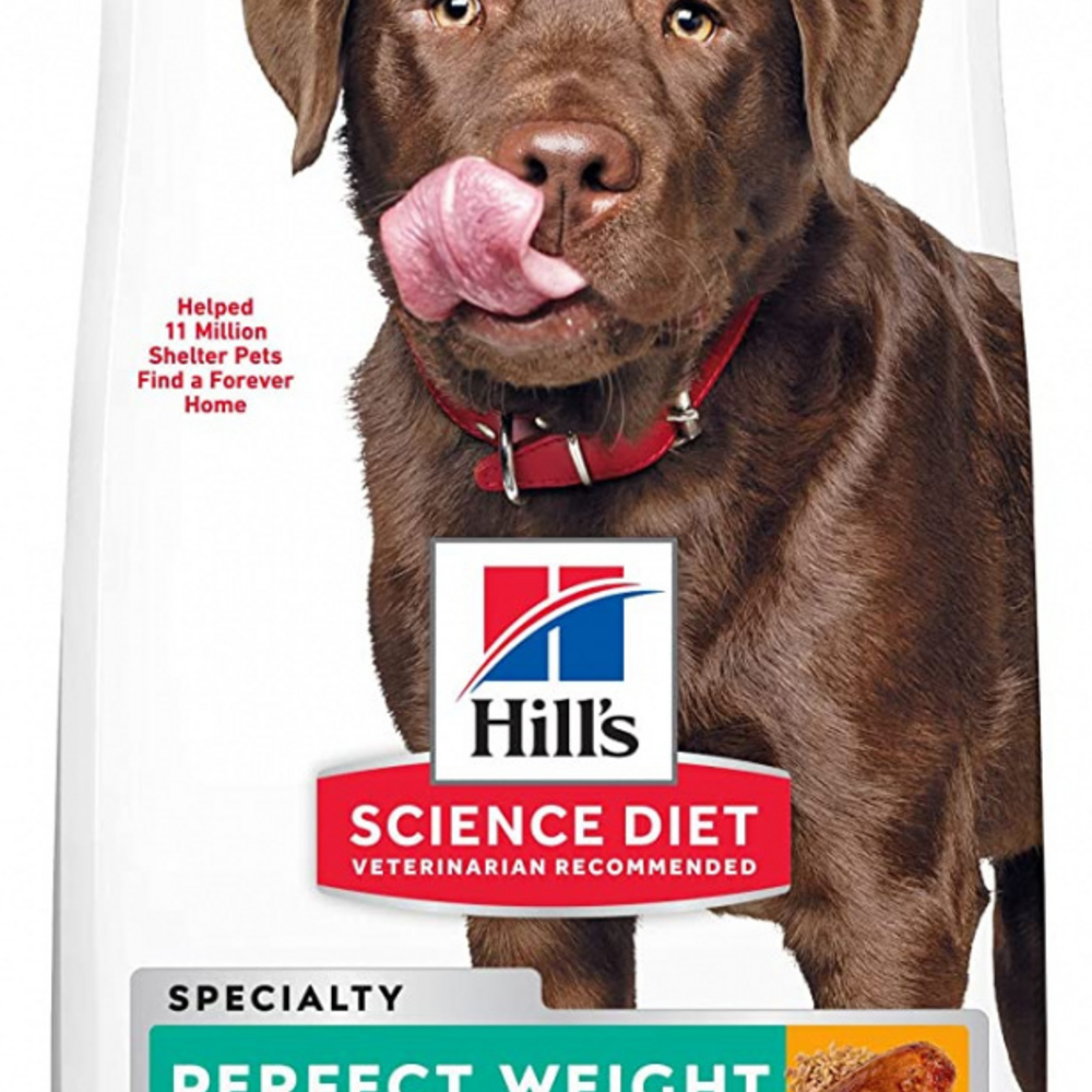 Hill's Science Diet Adult Perfect Weight LG Breed Dry Dog Food