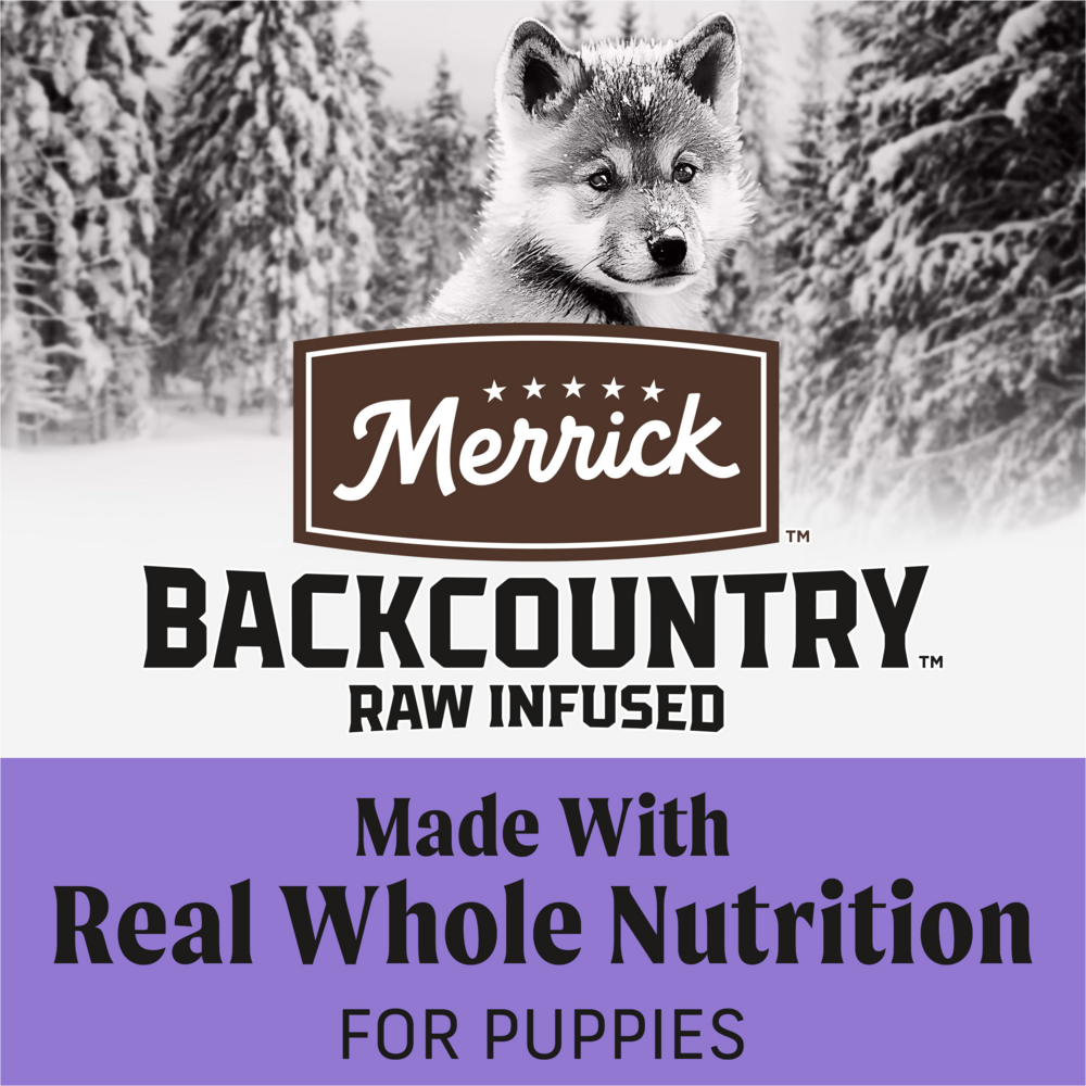 Merrick Backcountry Healthy Grains Dry Puppy Food