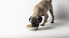 Load image into Gallery viewer, Dr. Marty Nature&#39;s Blend Small Breed Freeze Dried Raw Dog Food