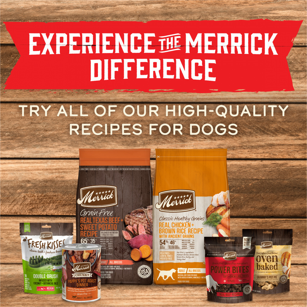 
                  
                    Merrick Wet Dog Food Slow-Cooked BBQ Texas Style with Braised Beef Grain Free Canned Dog Food
                  
                