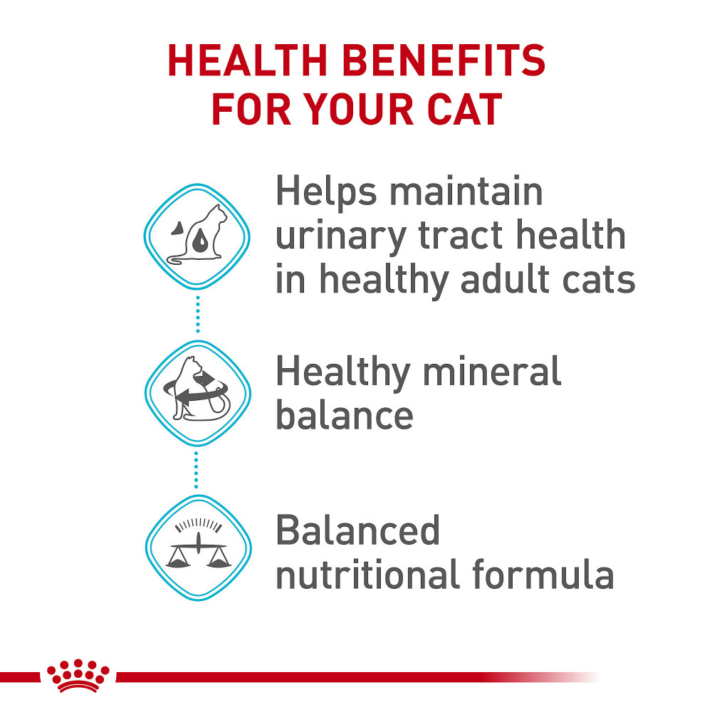 
                  
                    Royal Canin Feline Care Nutrition Urinary Care Dry Cat Food
                  
                