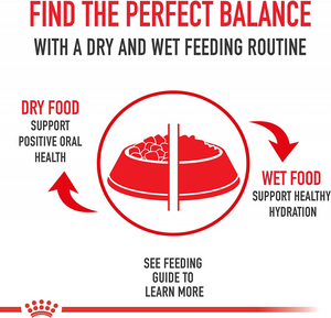 Royal Canin Breed Health Nutrition Pomeranian Adult Dry Dog Food