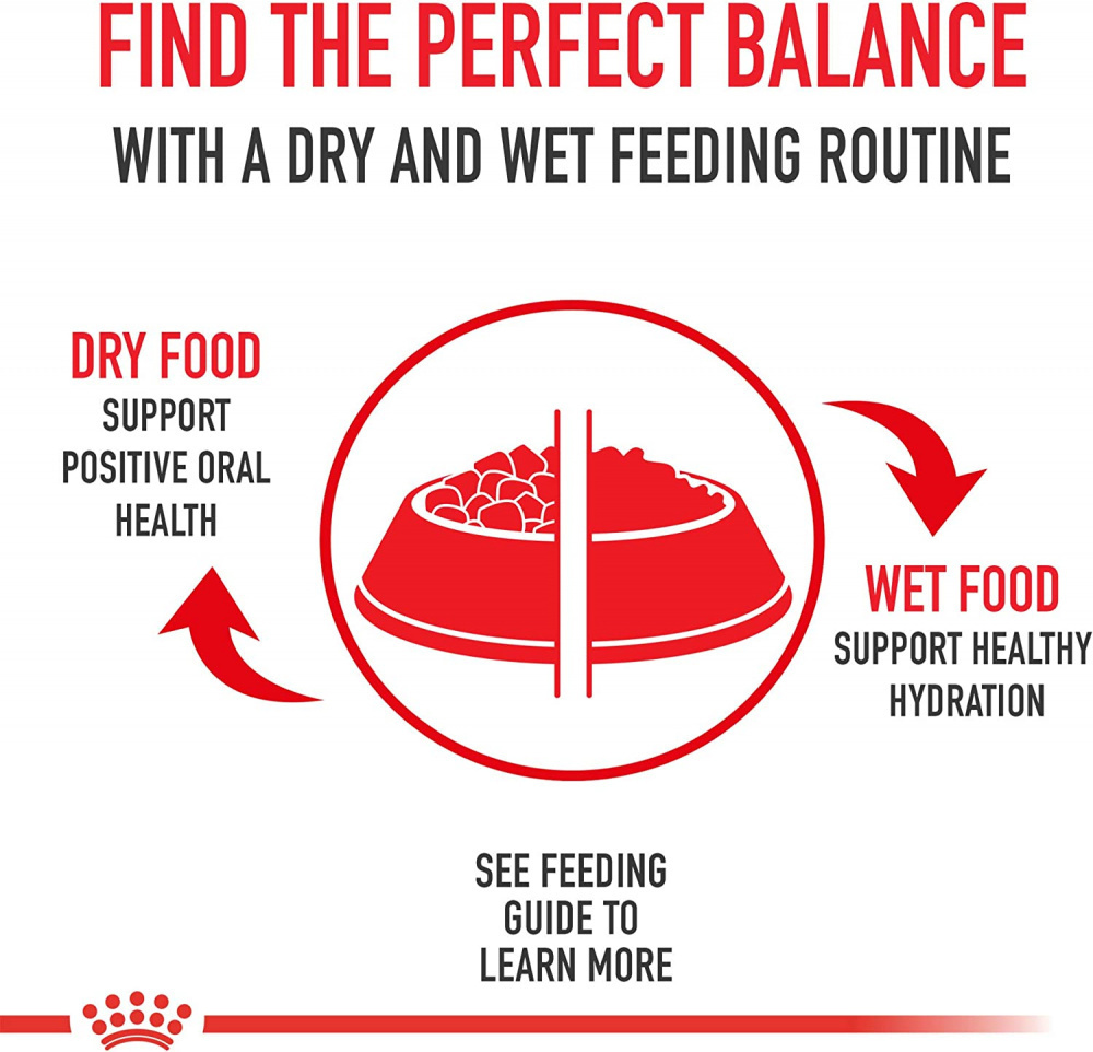 
                  
                    Royal Canin Breed Health Nutrition Pomeranian Adult Dry Dog Food
                  
                