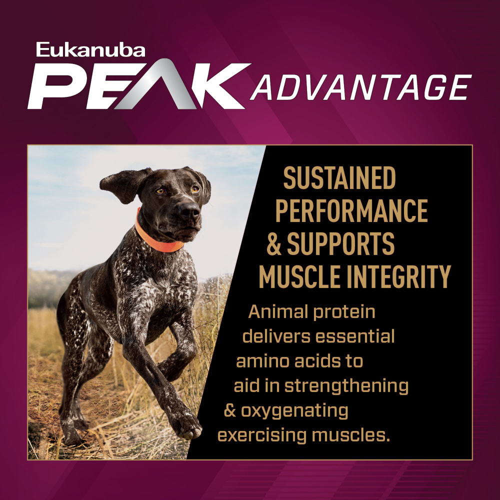 
                  
                    Eukanuba Premium Performance 30/20 Sport Adult Dry Dog Food
                  
                