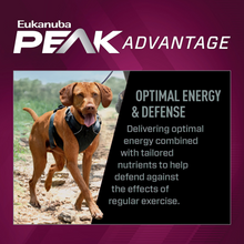 Load image into Gallery viewer, Eukanuba Premium Performance 26/16 Exercise Dry Dog Food