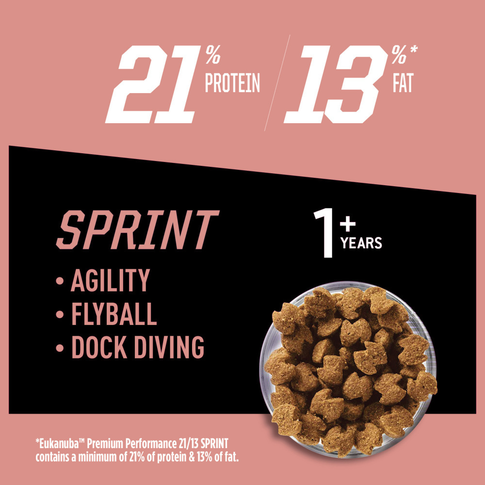 
                  
                    Eukanuba Premium Performance 21/13 Sprint Dry Dog Food
                  
                