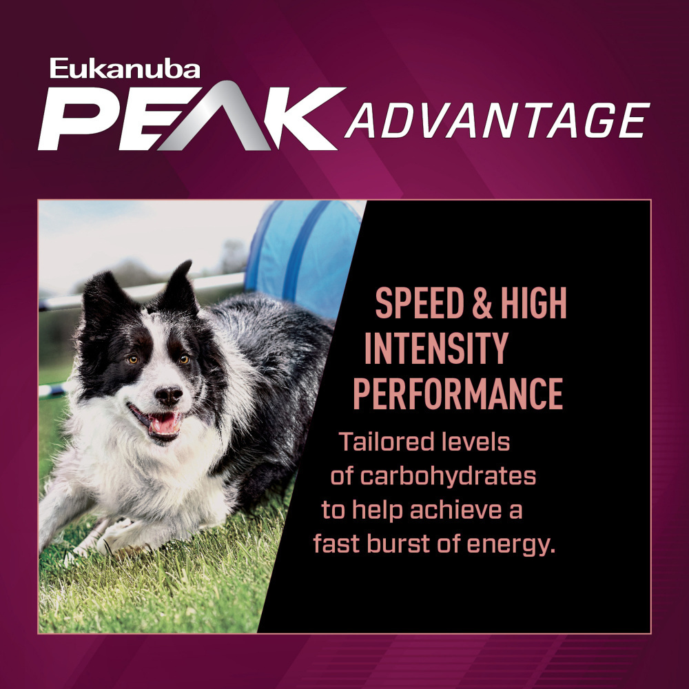 
                  
                    Eukanuba Premium Performance 21/13 Sprint Dry Dog Food
                  
                