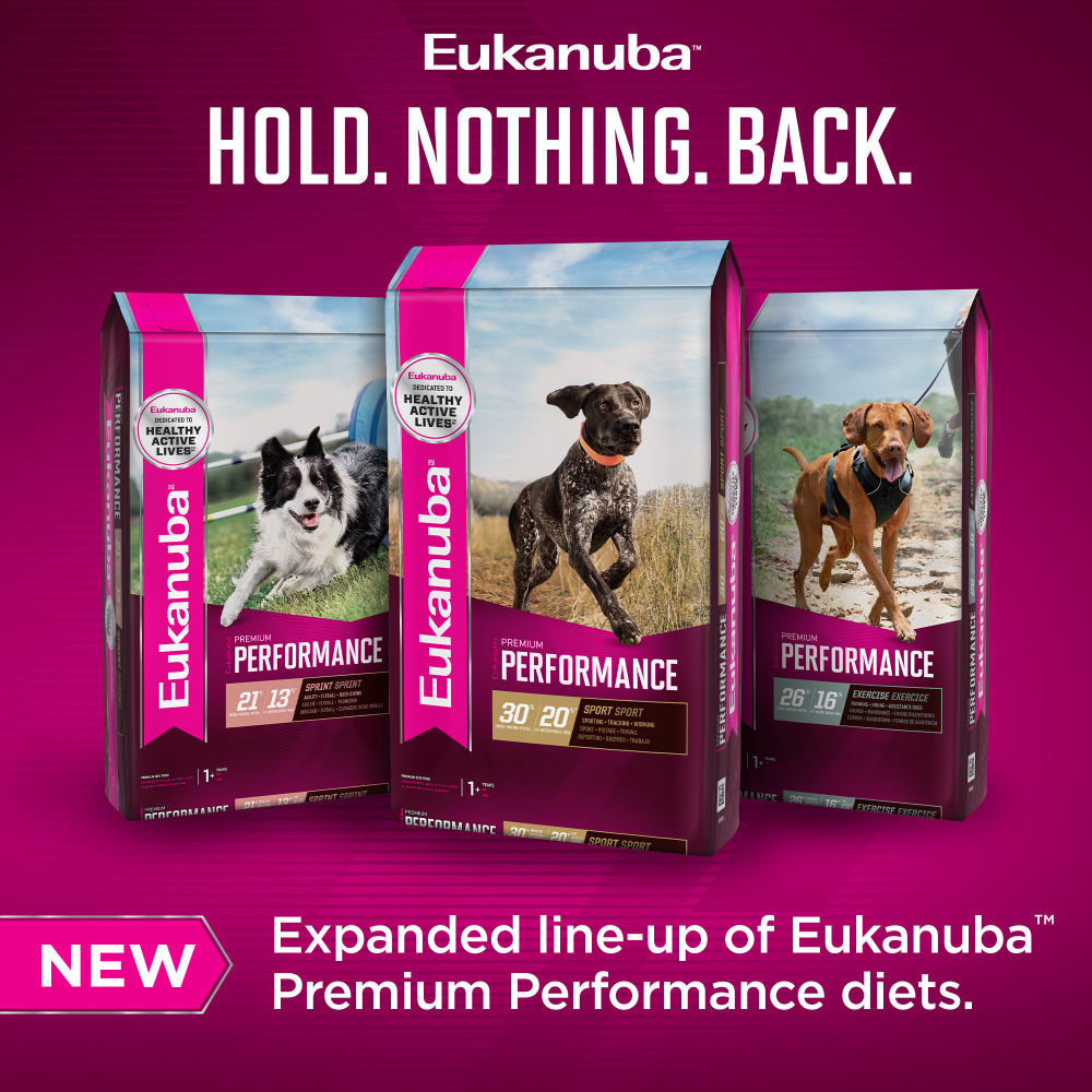 
                  
                    Eukanuba Premium Performance 21/13 Sprint Dry Dog Food
                  
                