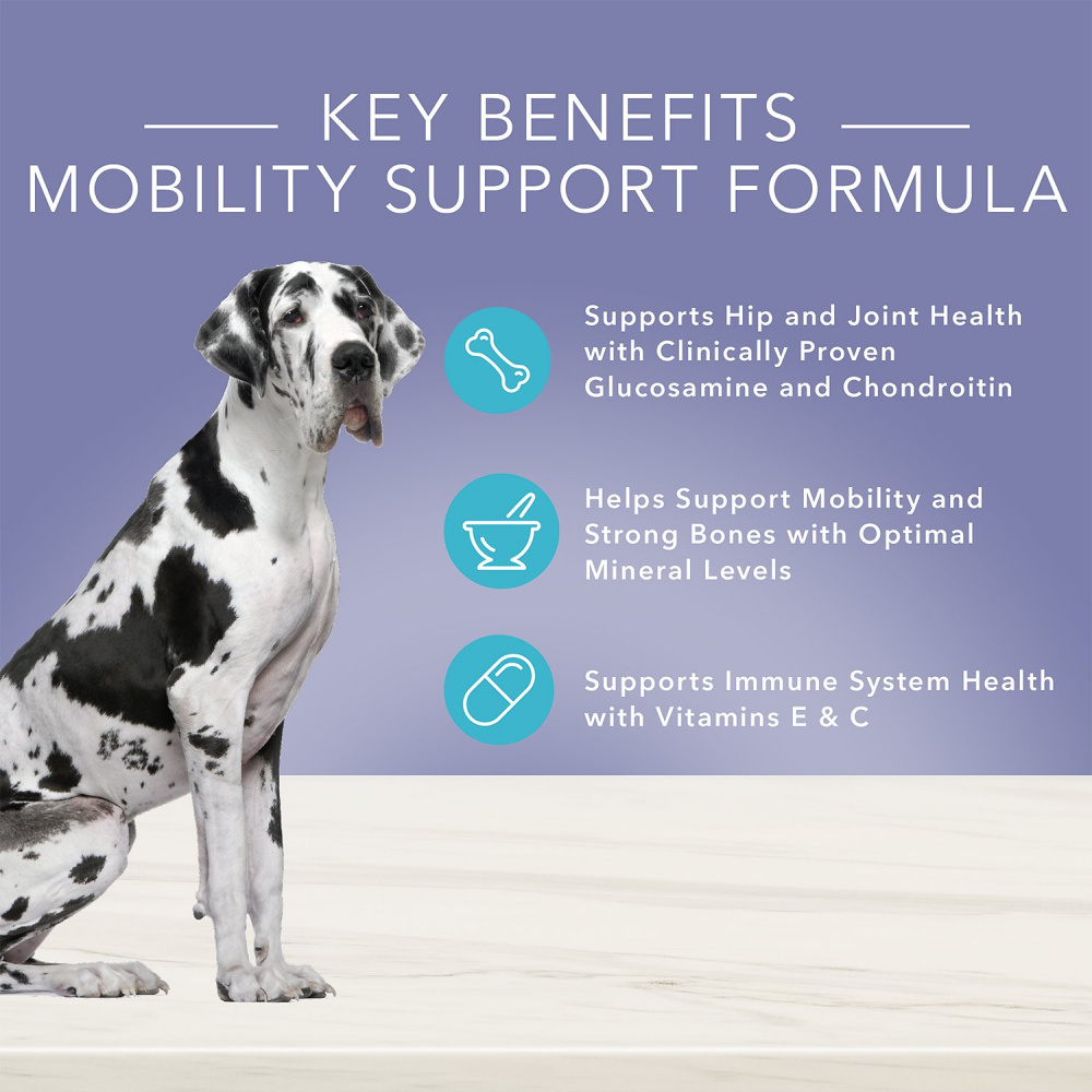 
                  
                    Blue Buffalo True Solutions Jolly Joints Mobility Support Formula Adult Canned Dog Food
                  
                