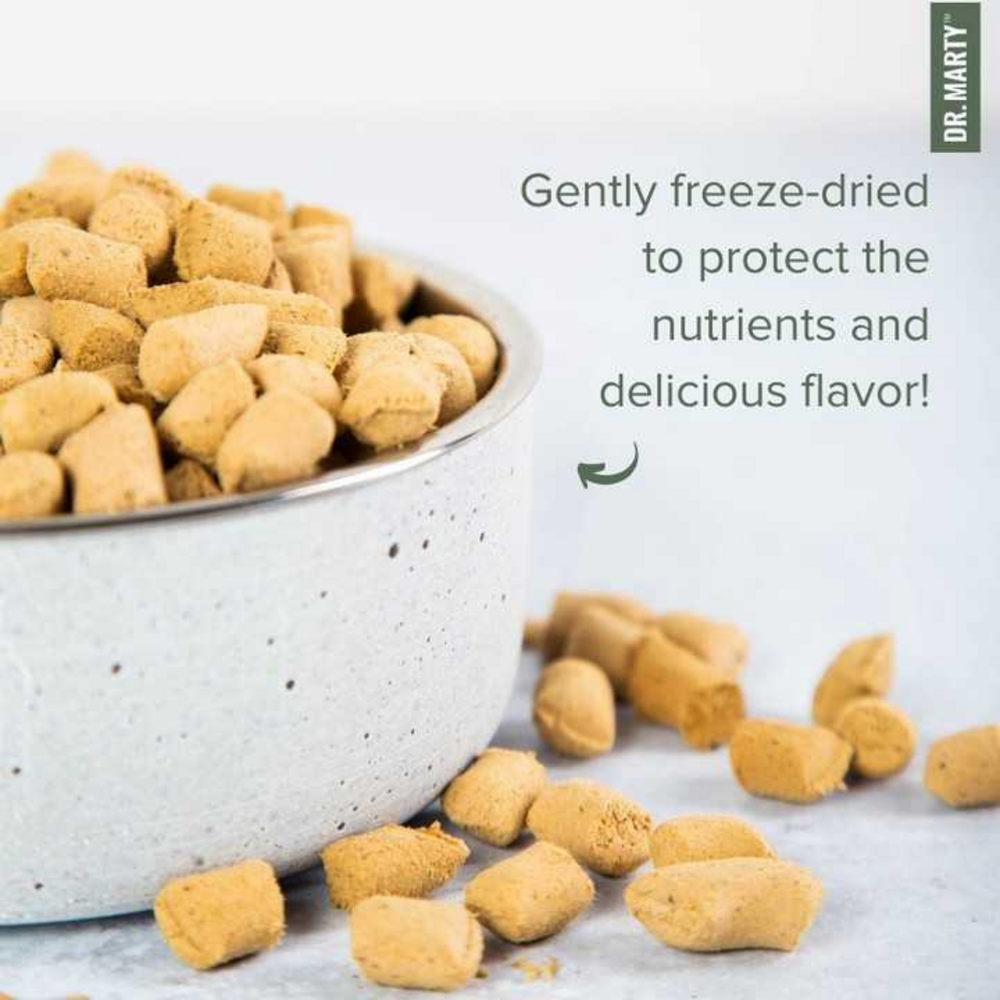 
                  
                    Dr. Marty Nature's Blend for Puppies Freeze Dried Raw Dog Food
                  
                