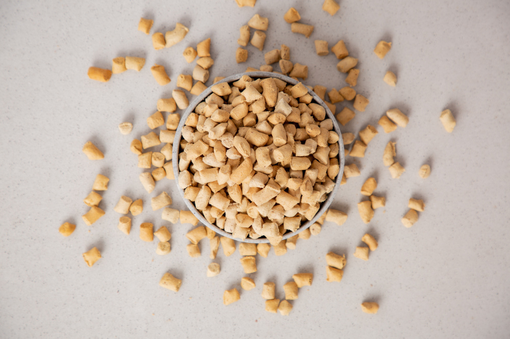 
                  
                    Dr. Marty Nature's Blend for Puppies Freeze Dried Raw Dog Food
                  
                