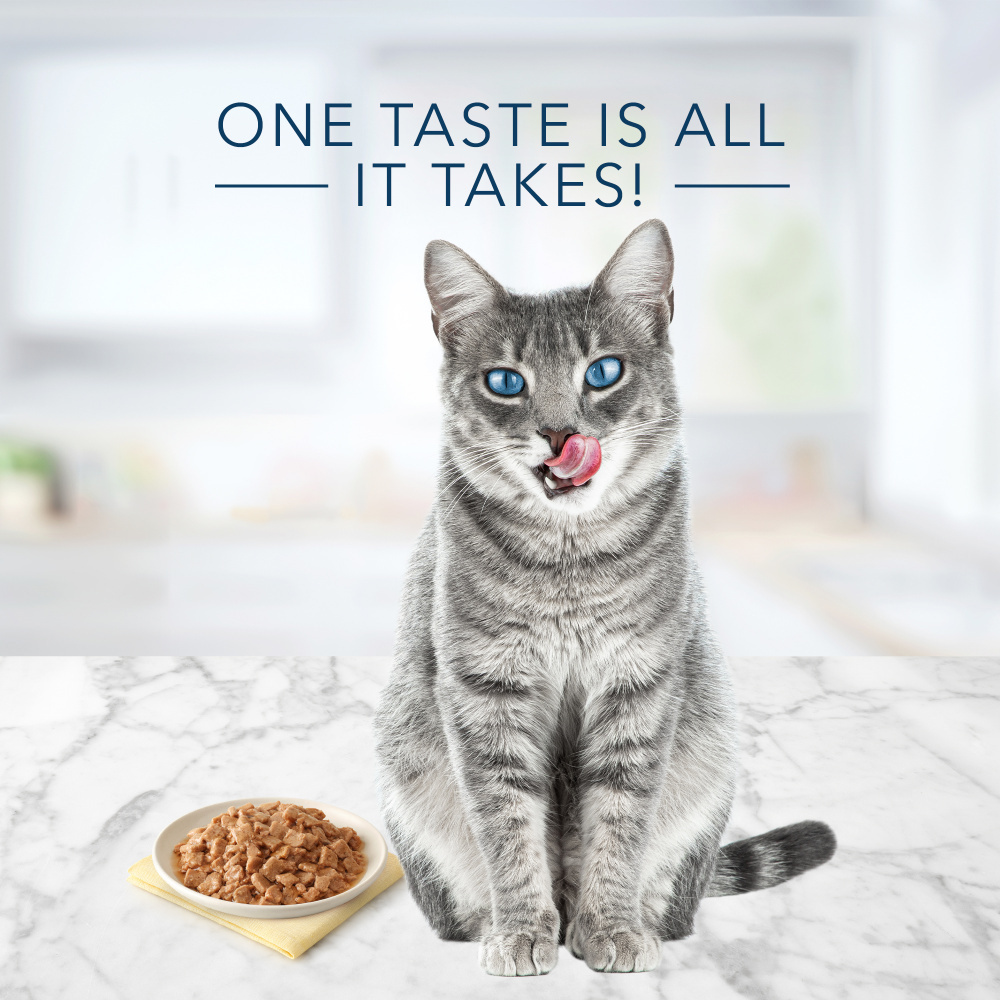 
                  
                    Blue Buffalo Tastefuls Natural Flaked Tuna Entree in Gravy Wet Cat Food
                  
                