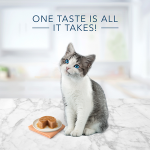 Blue Buffalo Tastefuls Chicken Pate Entree for Kittens Wet Cat Food