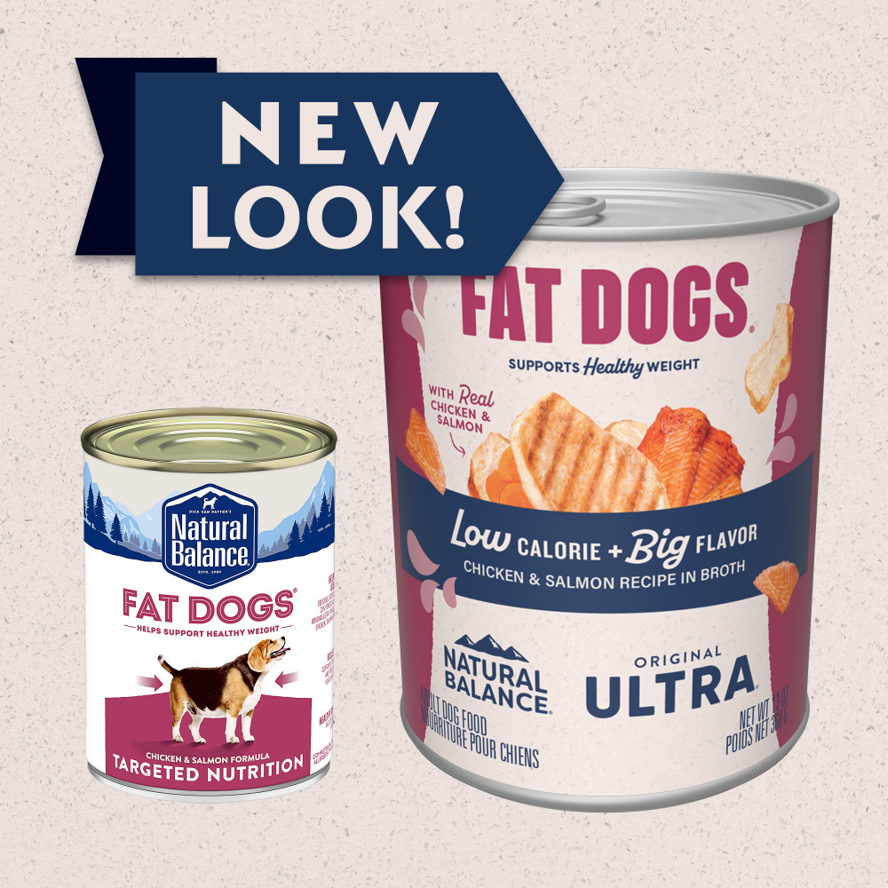 Natural Balance Original Ultra Fat Dogs Wet Dog Food, Chicken & Salmon Recipe in Broth