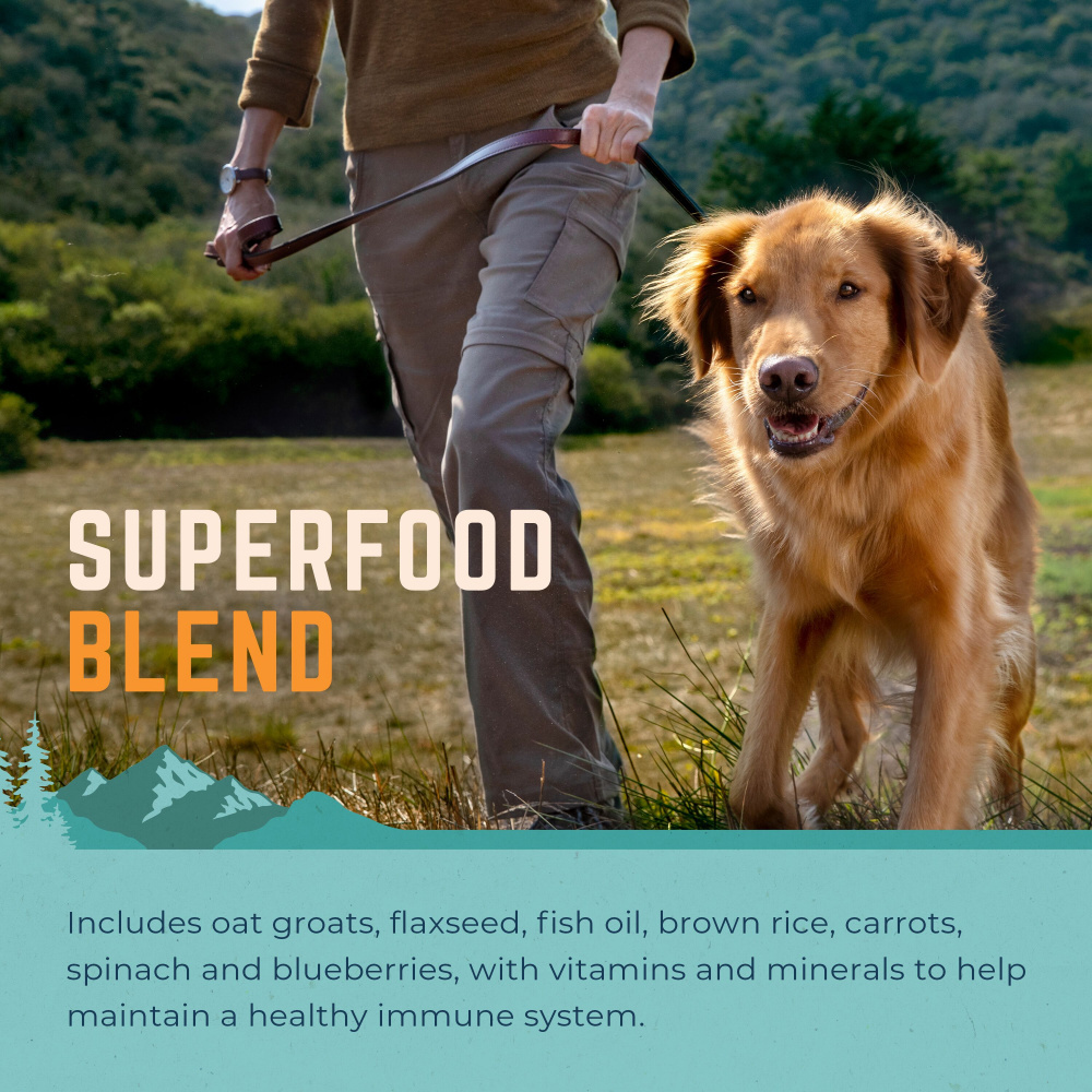 
                  
                    Natural Balance Original Ultra All Life Stage Chicken & Barley Small Breed Bites Recipe Dry Dog Food
                  
                