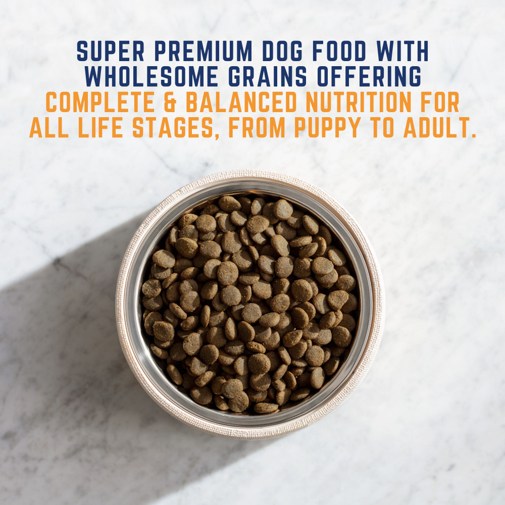 
                  
                    Natural Balance Original Ultra All Life Stage Chicken & Barley Small Breed Bites Recipe Dry Dog Food
                  
                