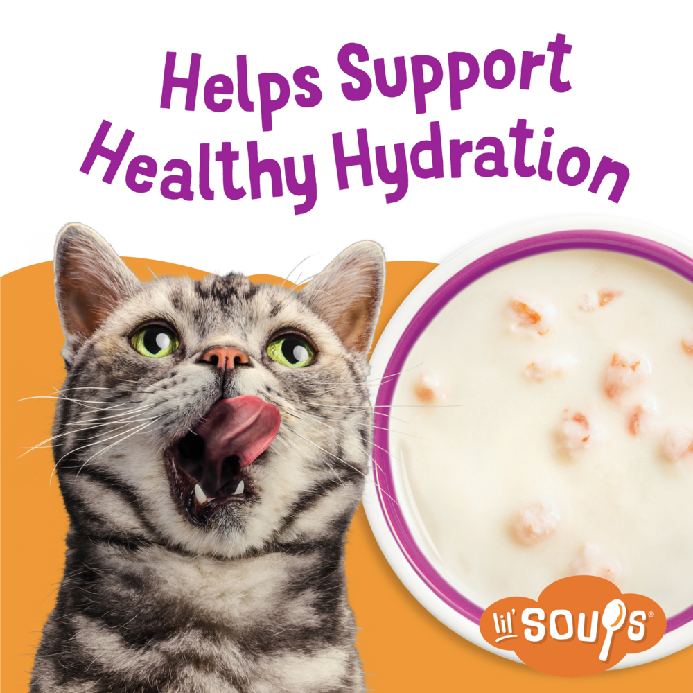 
                  
                    Friskies Natural Grain-Free Lil' Soups With Shrimp In Chicken Broth Cat Food Compliment
                  
                