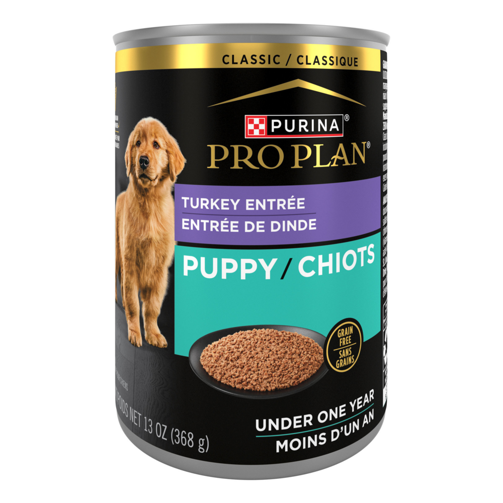 
                  
                    Purina Pro Plan Grain-Free Classic Turkey Entree Wet Puppy Food
                  
                