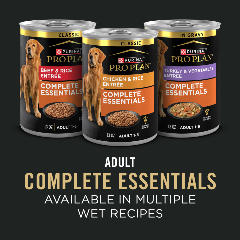 
                  
                    Purina Pro Plan Essentials Shredded Blend Turkey & Rice High Protein Dry Dog Food
                  
                