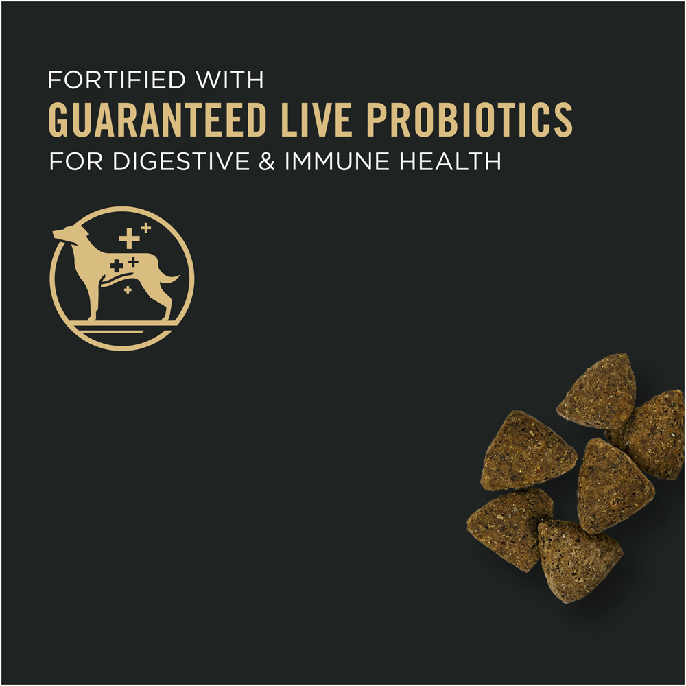 
                  
                    Purina Pro Plan Sensitive Skin & Stomach Turkey & Oat Meal Formula Dry Dog Food
                  
                